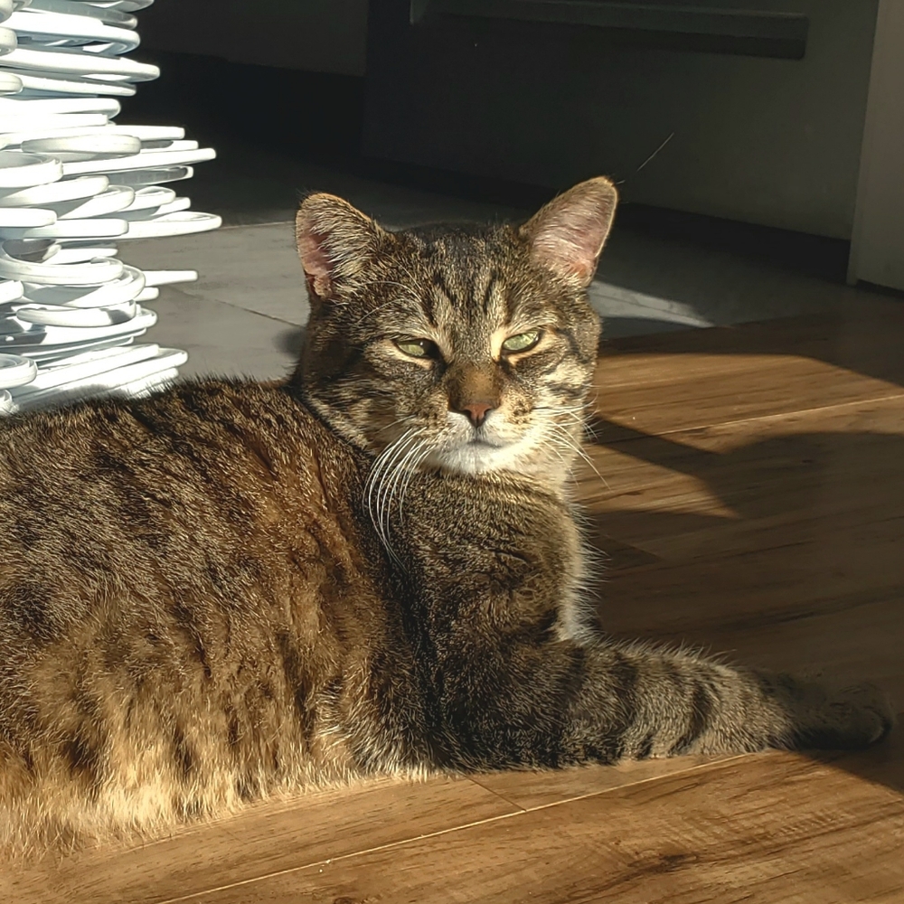 Meet your Posher, Avery
